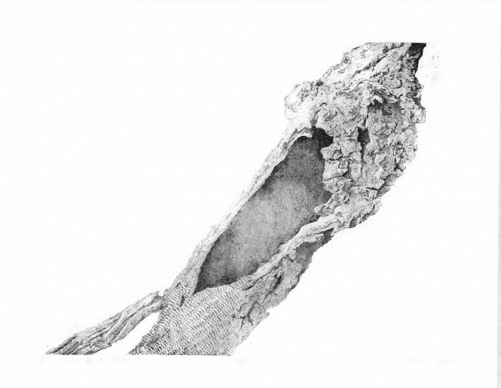 MUYU.3 | etching | 60×80 cm| 2015
